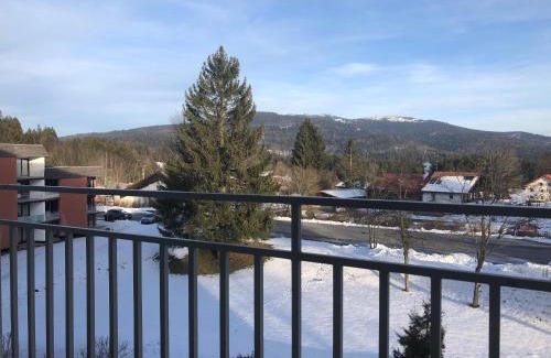 Neureichenau Apartment | Ferienwohnung im Dreiländereck