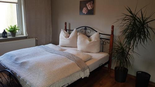 Thale Apartment | Ferienwohnung Malu Sol im Harz - stilvoll, gemütlich, tierfreundlich - mit Garten