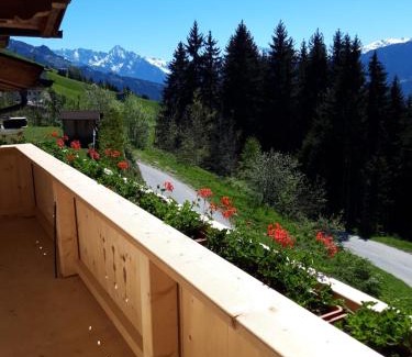 Rohrberg Apartment | Ferienwohnung Schiestl