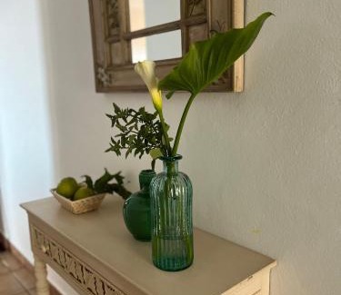 Los Quemados Apartment | Finca La Calzada