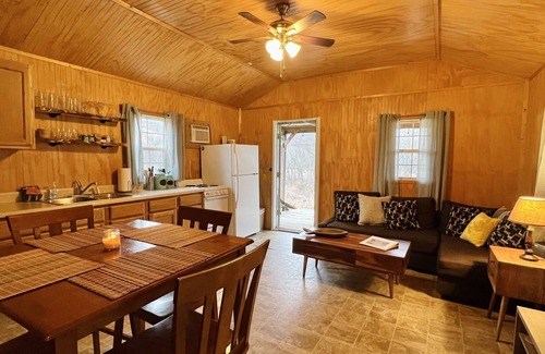 Dallas County Cabin | Fish & Float Niangua! 7m to Bennett Springs~ Peace and Quiet