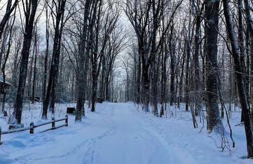 Swanton House | Four Bear Cabin