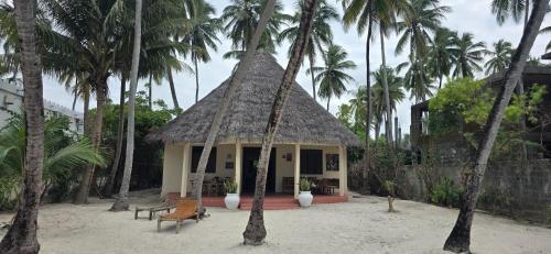 Jambiani Hotel | Furaha Beach Bungalows by Serenity