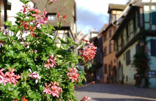 Riquewihr Apartment | Gîte l'Agapé