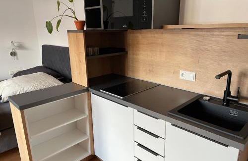 Tannheim Apartment | Garconnnière im Bogen