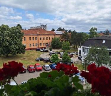Kragujevac Hotel | Garni Hotel Ema