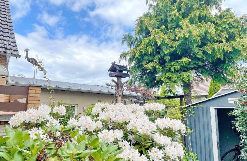 Lubbenau/Spreewald House | Gartenblick