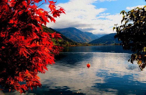 Zell am See Hotel | Gasthof Wieshof