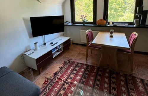 Brohl-Lutzing Apartment | Gemütliche Wohnung im 2OG Haus zur Vulkaneifel Brohl