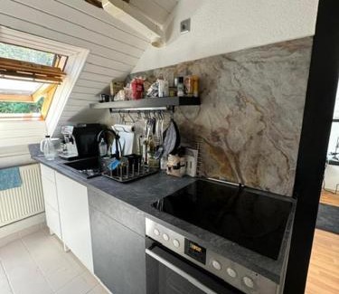 Brohl-Lutzing Apartment | Gemütliche Wohnung im 2OG Haus zur Vulkaneifel Brohl