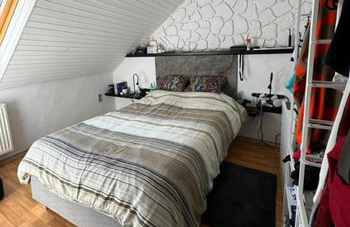 Brohl-Lutzing Apartment | Gemütliche Wohnung im 2OG Haus zur Vulkaneifel Brohl