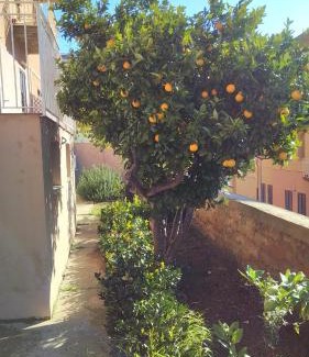 Agrigento House | Giardino della Nonna Bice - locazioni turistiche