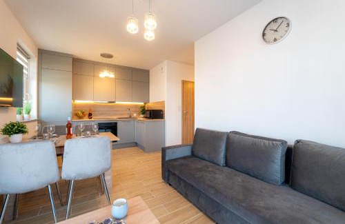 Gorzow Wielkopolski Apartment | Gicek Apartament 11B bezpłatny PARKING Faktura VAT 4 osobowy K-S SSE