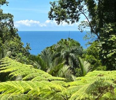 Chiguata House | Ginger and Cacao, Luxury Villas and Cottage with Pool and Ocean Views
