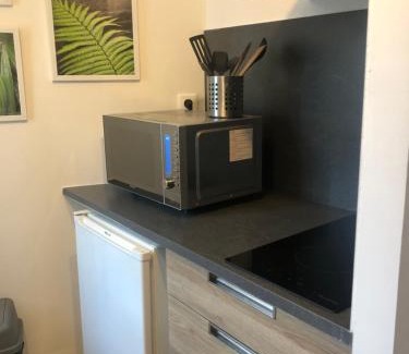 Herrlisheim-pres-Colmar Apartment | Gite Jasmin