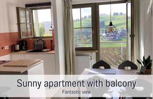Todtnauberg Apartment | GLÜCKAUF by Schwarzwaldquartier Sauna im Haus Skilift und Loipe in direkter Nähe Traumblick Tiefgarage E-Ladestation
