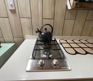 Bajos de Lircay Apartment | Glamping II Domo 7 Tazas con Tinaja