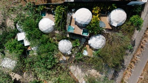 Playa Ocotal Other | Glamping Tortuga Verde
