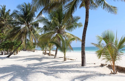 Diani Beach Hotel | Golden Beach Resort A051