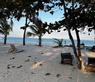 Diani Beach Apartment | Golden Beachfront Studios Diani