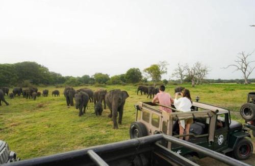 Dambulla Hotel | Golden Eco Villa