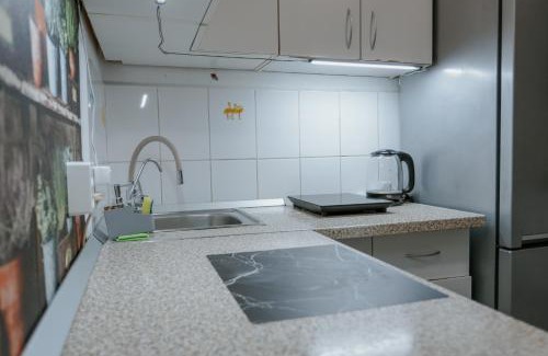 Bistrita Apartment | Good Vibes Studio