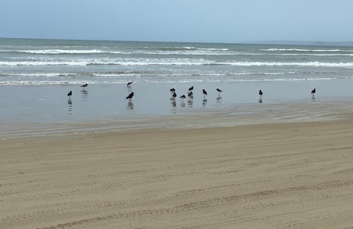 Goolwa Beach House | Goolwa Wine Time on Rosemary - 3-4 bedroom shack