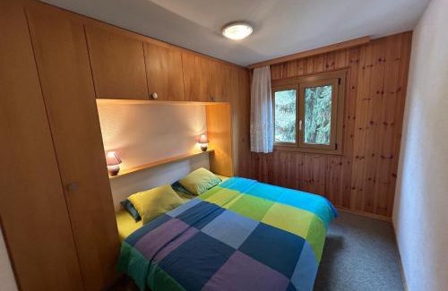 Nendaz Apartment | Gracious apartment in Veysonnaz