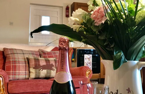 Llanilar Cottage | Granar y Garth