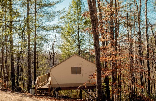 Primrose RV Rental | Green Heron’s Nest- Family Glamping Tent with AC