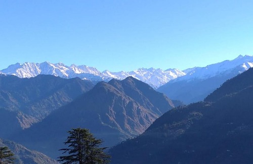 Jibhi House | Green Himalayan Homestay