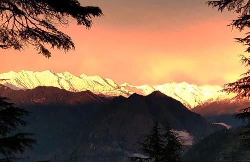 Jibhi House | Green Himalayan Homestay