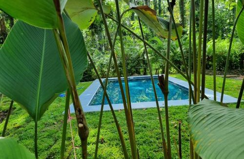 Manzanillo Villa | Green Lapa's