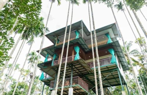 Sulthan Bathery Apartment | GreensVista Pool Wayanad AC Pillar Homestay near Natural Stream and Amazing View