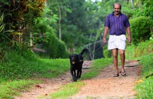 Sulthan Bathery Apartment | GreensVista Pool Wayanad AC Pillar Homestay near Natural Stream and Amazing View