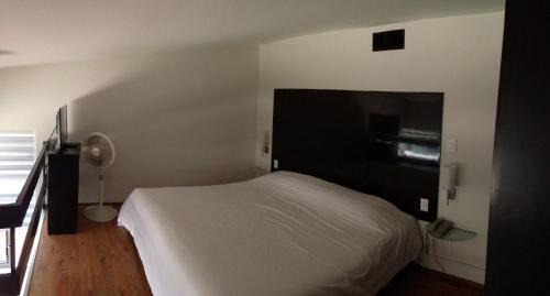 Bosques de las Lomas Apartment | Grupo Kings Suites - Bosque de Duraznos 72
