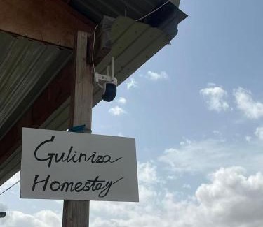 Almaty Bed & Breakfast | Guliniza home 中国民宿