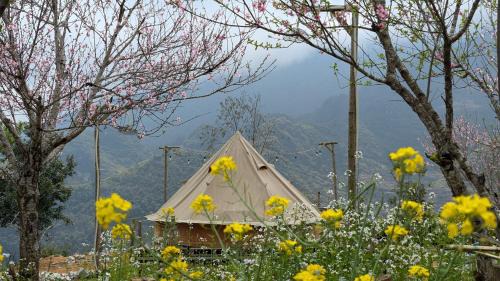 Meo Vac Other | Hà Giang Camping