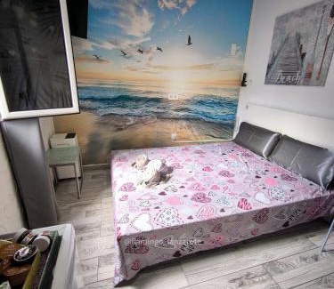 Arrecife Apartment | Habitacion Flamingo, entrada privada y baño privado en suite by flamingo house, no fumadores