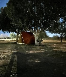 Central Sonora Other | Hacienda Corza