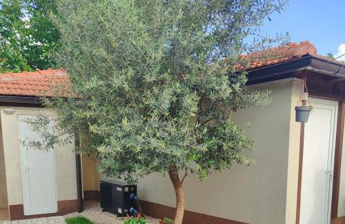 Mostar Villa | Hacijenda za odmor iz snova uz potpunu privatnost Januarac Jan