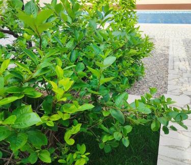 Mostar Villa | Hacijenda za odmor iz snova uz potpunu privatnost Januarac Jan