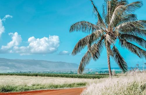 Waialee Other | Haleiwa Off Grid Tent - 5 min from town