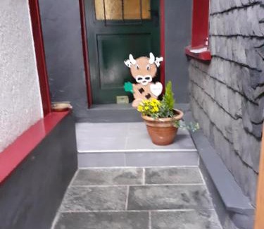 Monschau Apartment | Hallerblick