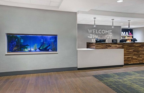 Westfield Hotel | Hampton Inn by Hilton Westfield