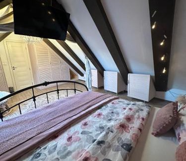 Brasov Villa | Hanul Anei - entire property