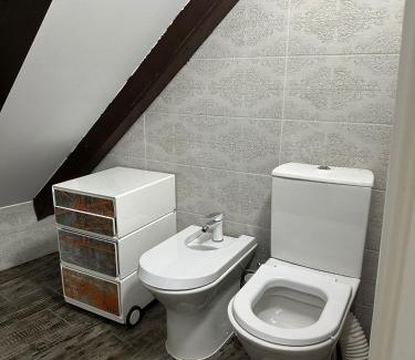 Brasov Villa | Hanul Anei - entire property