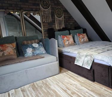 Brasov Villa | Hanul Anei - entire property