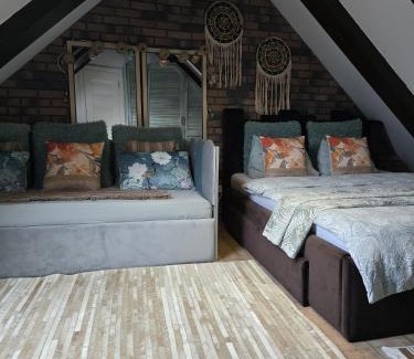 Brasov Villa | Hanul Anei - entire property