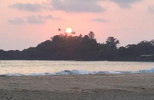 Patnem Hotel | Hare's BAR AND RESTAURANT